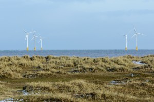 Scroby Sands Wind Turbines Off Great Yarmouth